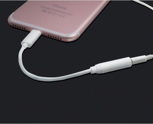 Adaptateur Prise Jack/Lightning pour IPHONE 7 Audio 3.5mm Cable Rallonge Ecouteur APPLE